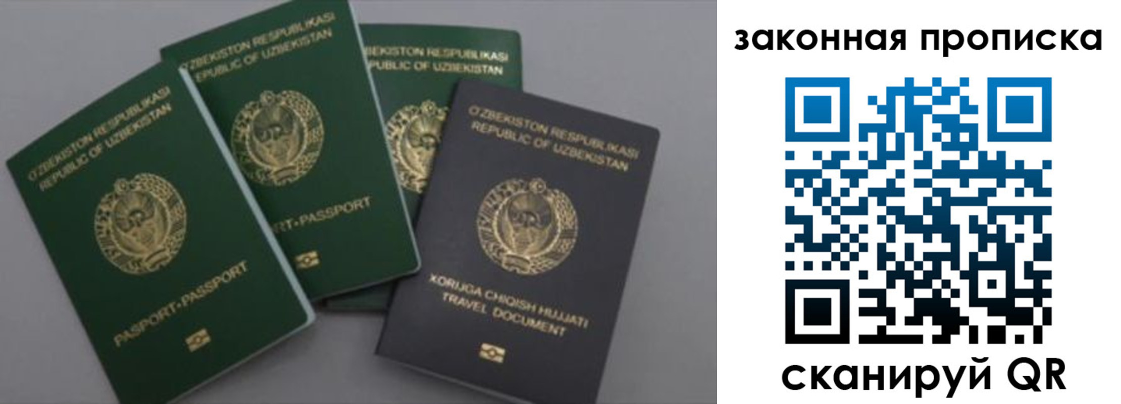 прописка законно в Яхроме